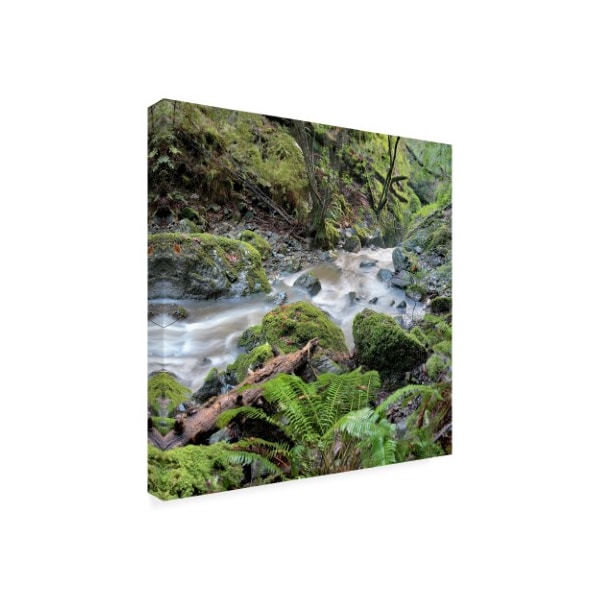 Alan Blaustein 'Canyon Falls No. 18' Canvas Art,18x18